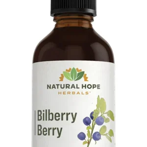 Bilberry Berry Herbs/ Herbals Supplement