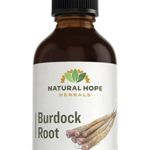 Burdock Root Herbs/ Herbals Supplement