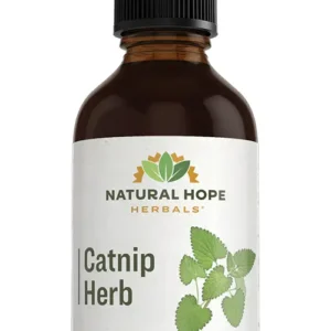 Catnip Herb Herbs/ Herbals Supplement