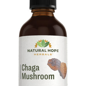 Chaga Mushroom Herbs/ Herbals Supplement