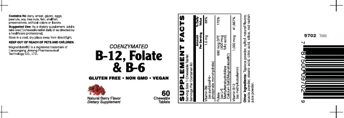 Coenzymated B-12, Folate & B-6 Tabs 60's Vitamin B/ Mood/ Anxiety Supplement - Image 2