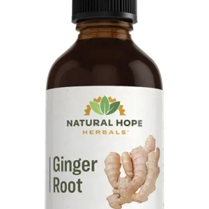 Ginger Root Herbs/ Herbals Supplement