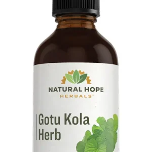 Gotu Kola Herb Herbs/ Herbals Supplement