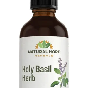 Holy Basil Herb Herbs/ Herbals Supplement