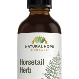 Horsetail Herb Herbs/ Herbals Supplement