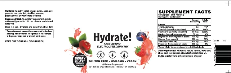 Hydrate! Berry Blast 20 Sticks Vitamins/ Minerals/ Electrolytes - Image 2