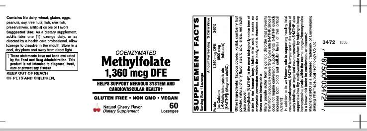 Methylfolate 800 Mcg Lozenges 60's - Image 2