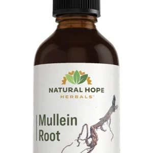 Mullein Root Herbs/ Herbals Supplement