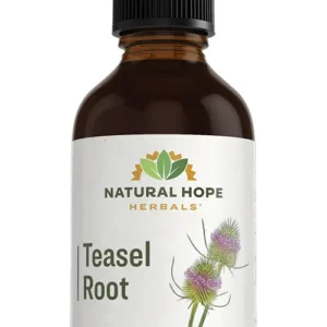 Teasel Root Herbs/ Herbals Supplement
