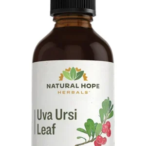 Uva Ursi Leaf Herbs/ Herbals Supplement