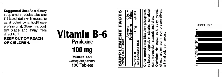 Vitamin B6 100Mg Tabs 100's - Image 2