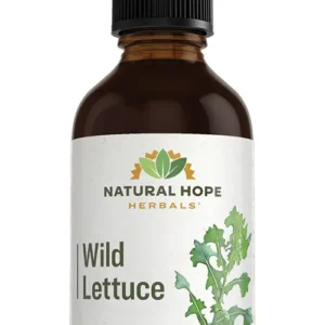 Wild Lettuce Herbs/ Herbals Supplement