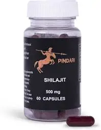 Shilajit Resin 500mg (60)